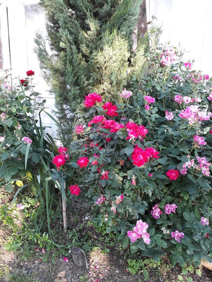 B&B il Fienile di Scarperia Esterno foto