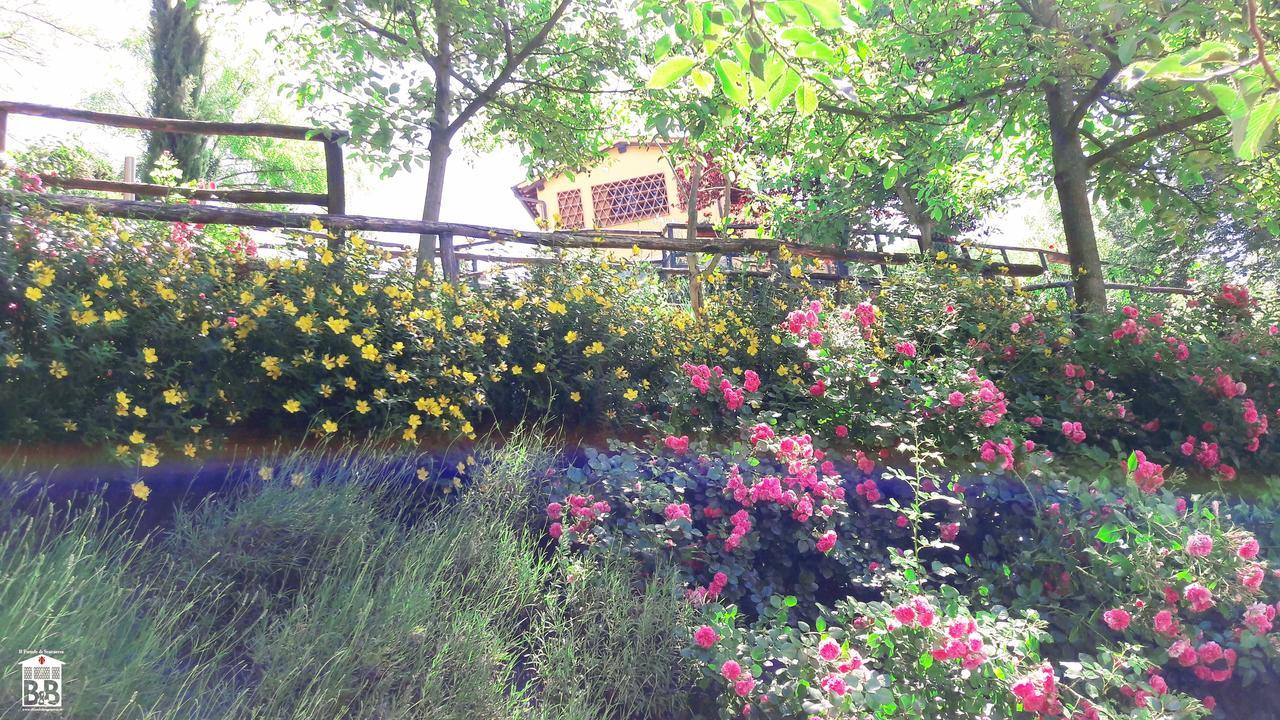 B&B il Fienile di Scarperia Esterno foto